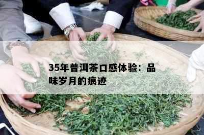 35年普洱茶口感体验：品味岁月的痕迹