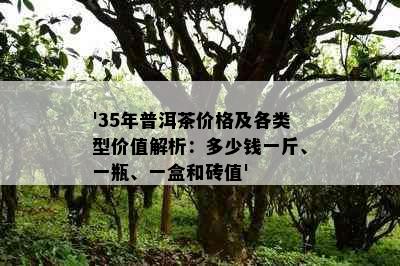 '35年普洱茶价格及各类型价值解析：多少钱一斤、一瓶、一盒和砖值'