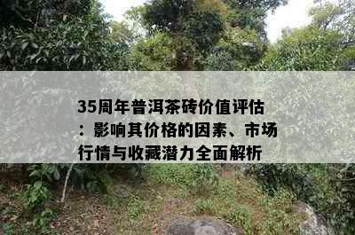 35周年普洱茶砖价值评估：影响其价格的因素、市场行情与收藏潜力全面解析