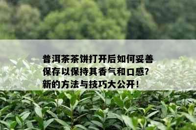 普洱茶茶饼打开后如何妥善保存以保持其香气和口感？新的方法与技巧大公开！