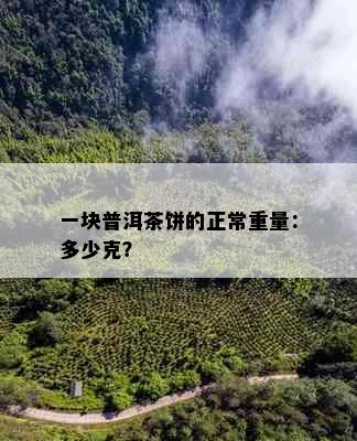 一块普洱茶饼的正常重量：多少克？