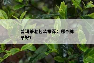 普洱茶老包装推荐：哪个牌子好？