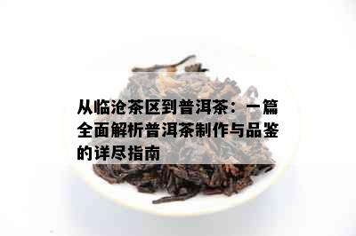 从临沧茶区到普洱茶：一篇全面解析普洱茶制作与品鉴的详尽指南