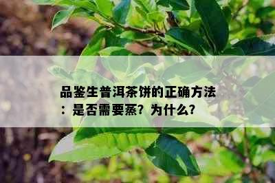 品鉴生普洱茶饼的正确方法：是否需要蒸？为什么？