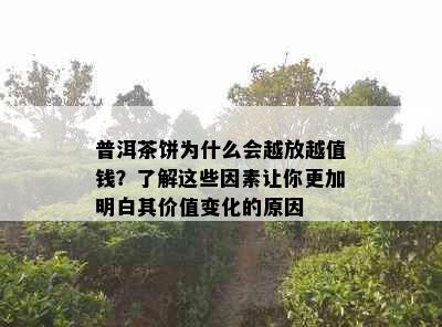 普洱茶饼为什么会越放越值钱？了解这些因素让你更加明白其价值变化的原因