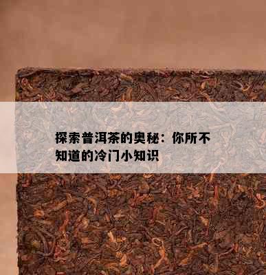 探索普洱茶的奥秘：你所不知道的冷门小知识