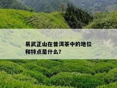 易武正山在普洱茶中的地位和特点是什么？