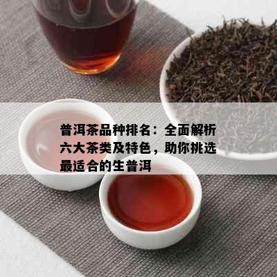 普洱茶品种排名：全面解析六大茶类及特色，助你挑选最适合的生普洱