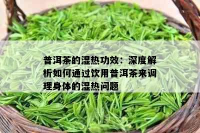 普洱茶的湿热功效：深度解析如何通过饮用普洱茶来调理身体的湿热问题