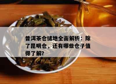 普洱茶仓储地全面解析：除了昆明仓，还有哪些仓子值得了解？