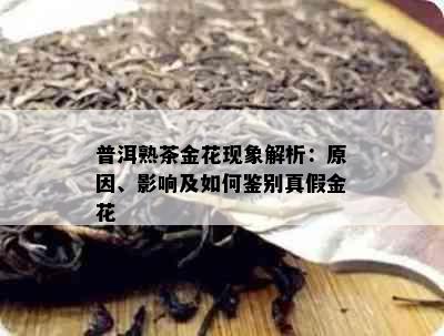 普洱熟茶金花现象解析：原因、影响及如何鉴别真假金花