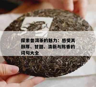 探索普洱茶的魅力：感受其醇厚、甘甜、清新与陈香的词句大全