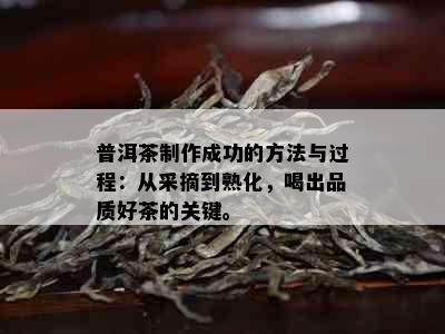 普洱茶制作成功的方法与过程：从采摘到熟化，喝出品质好茶的关键。