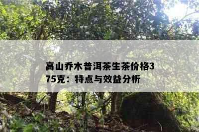 高山乔木普洱茶生茶价格375克：特点与效益分析