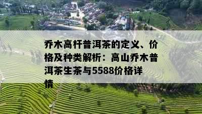 乔木高杆普洱茶的定义、价格及种类解析：高山乔木普洱茶生茶与5588价格详情