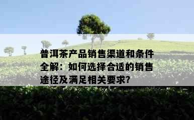 普洱茶产品销售渠道和条件全解：如何选择合适的销售途径及满足相关要求？