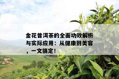 金花普洱茶的全面功效解析与实际应用：从健康到美容，一文搞定！