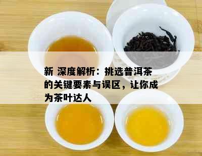 新 深度解析：挑选普洱茶的关键要素与误区，让你成为茶叶达人