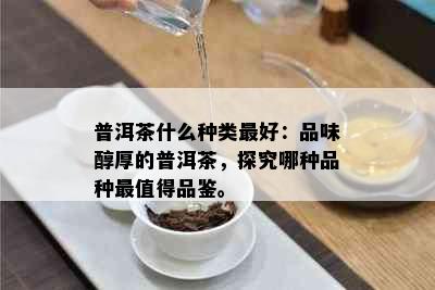 普洱茶什么种类更好：品味醇厚的普洱茶，探究哪种品种最值得品鉴。