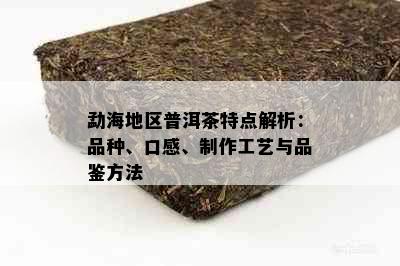 勐海地区普洱茶特点解析：品种、口感、制作工艺与品鉴方法