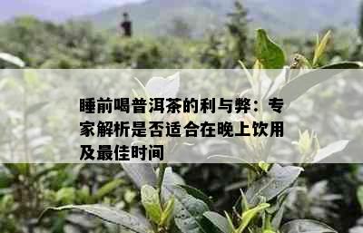 睡前喝普洱茶的利与弊：专家解析是否适合在晚上饮用及更佳时间