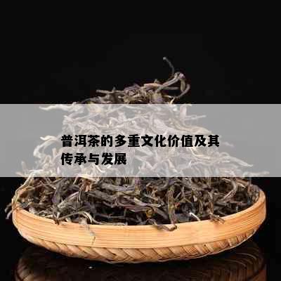 普洱茶的多重文化价值及其传承与发展