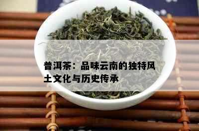 普洱茶：品味云南的独特风土文化与历史传承