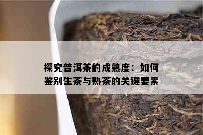 探究普洱茶的成熟度：如何鉴别生茶与熟茶的关键要素