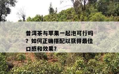 普洱茶与苹果一起泡可行吗？如何正确搭配以获得更佳口感和效果？