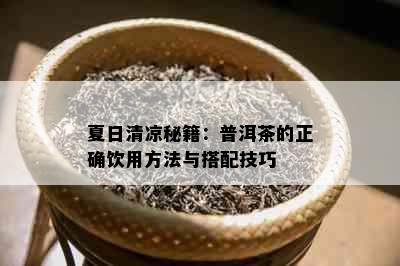 夏日清凉秘籍：普洱茶的正确饮用方法与搭配技巧