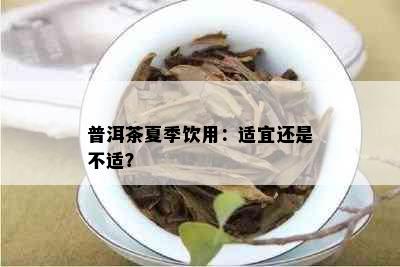 普洱茶夏季饮用：适宜还是不适？