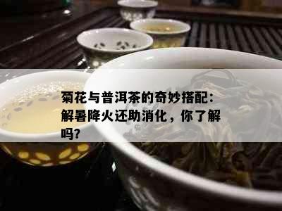 菊花与普洱茶的奇妙搭配：解暑降火还助消化，你了解吗？