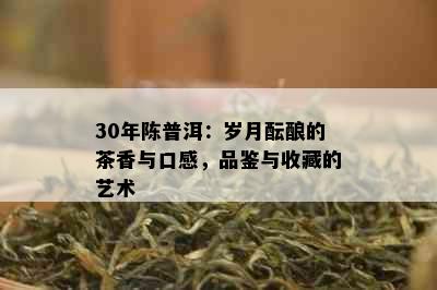 30年陈普洱：岁月酝酿的茶香与口感，品鉴与收藏的艺术