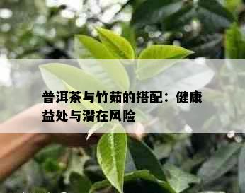 普洱茶与竹茹的搭配：健康益处与潜在风险