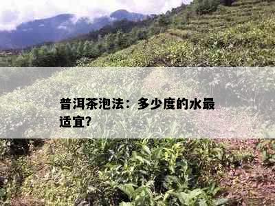 普洱茶泡法：多少度的水最适宜？