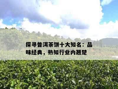 探寻普洱茶饼十大知名：品味经典，熟知行业内翘楚