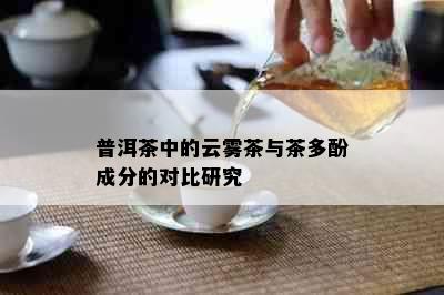 普洱茶中的云雾茶与茶多酚成分的对比研究