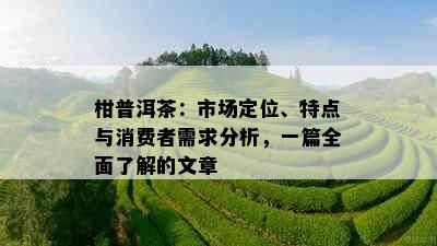 柑普洱茶：市场定位、特点与消费者需求分析，一篇全面了解的文章