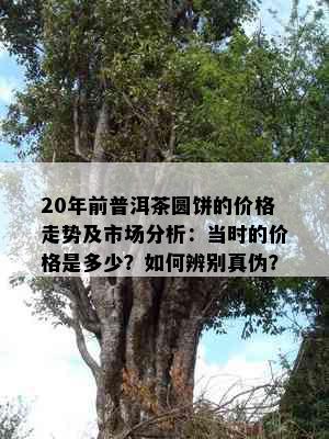 20年前普洱茶圆饼的价格走势及市场分析：当时的价格是多少？如何辨别真伪？