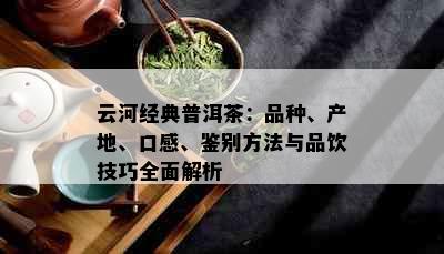 云河经典普洱茶：品种、产地、口感、鉴别方法与品饮技巧全面解析