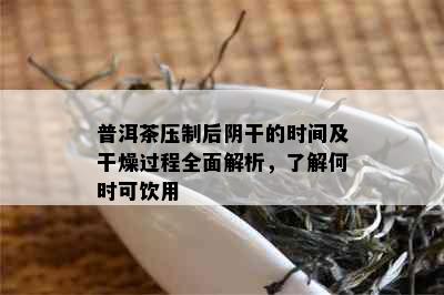 普洱茶压制后阴干的时间及干燥过程全面解析，了解何时可饮用