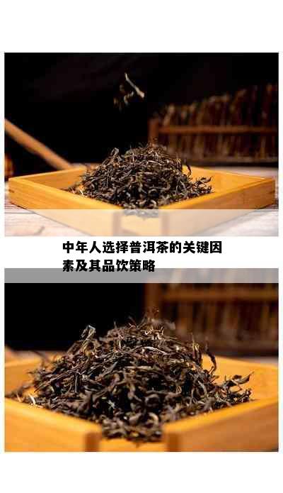 中年人选择普洱茶的关键因素及其品饮策略