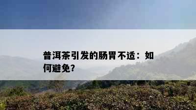 普洱茶引发的肠胃不适：如何避免？