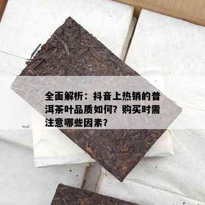 全面解析：抖音上热销的普洱茶叶品质如何？购买时需注意哪些因素？