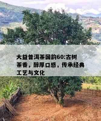 大益普洱茶国韵60:古树茶香，醇厚口感，传承经典工艺与文化