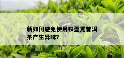 新如何避免使用铁壶煮普洱茶产生异味？