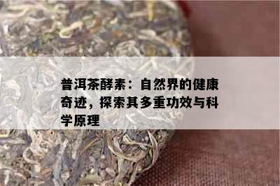 普洱茶酵素：自然界的健康奇迹，探索其多重功效与科学原理