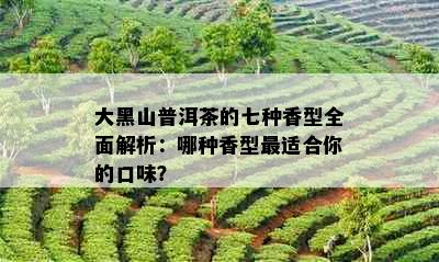 大黑山普洱茶的七种香型全面解析：哪种香型最适合你的口味？