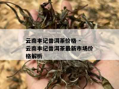 云南丰记普洱茶价格 - 云南丰记普洱茶最新市场价格解析