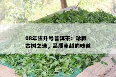 08年陈升号普洱茶：珍藏古树之选，品质卓越的味道